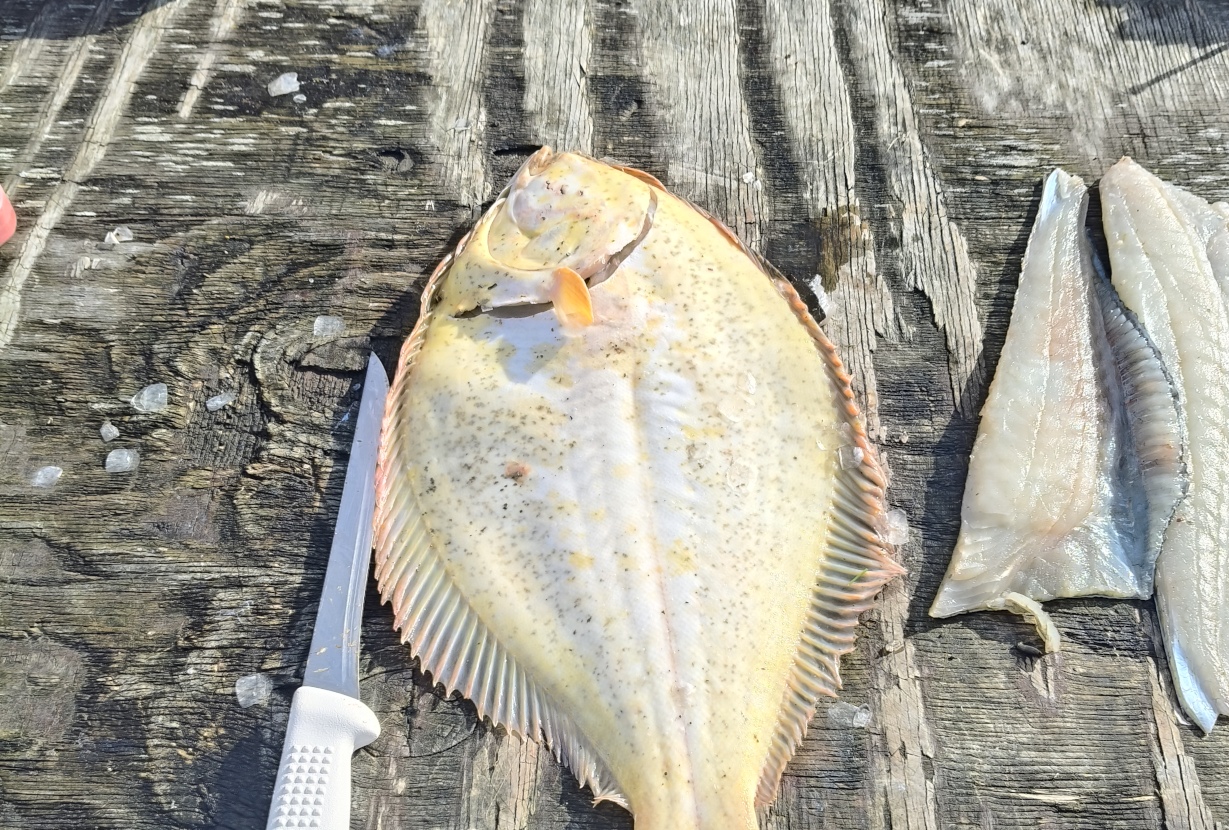 Lake Ferry Holiday Park