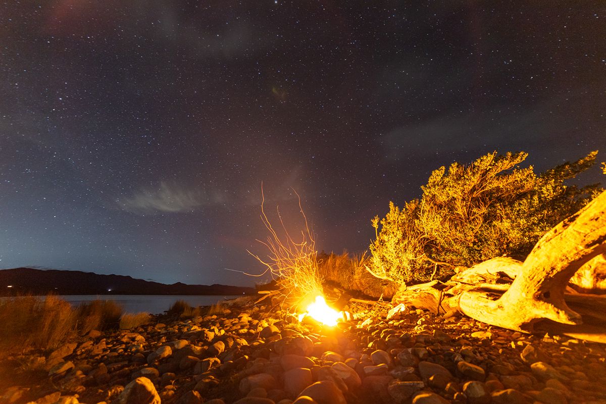 Lake Ferry Holiday Park