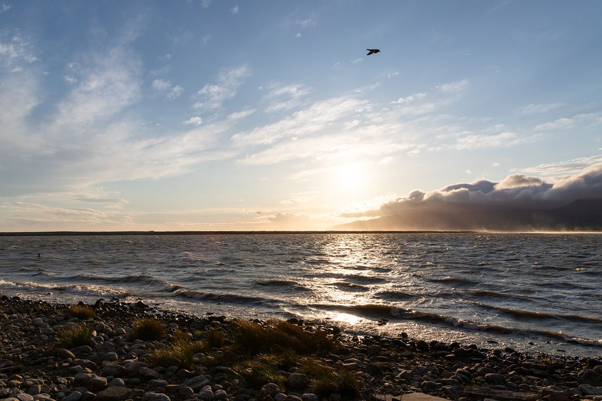 Lake Ferry Holiday Park