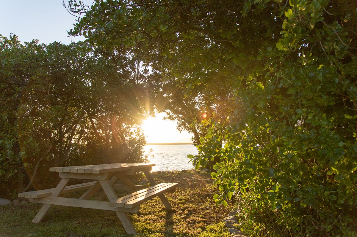 Lake Ferry Holiday Park