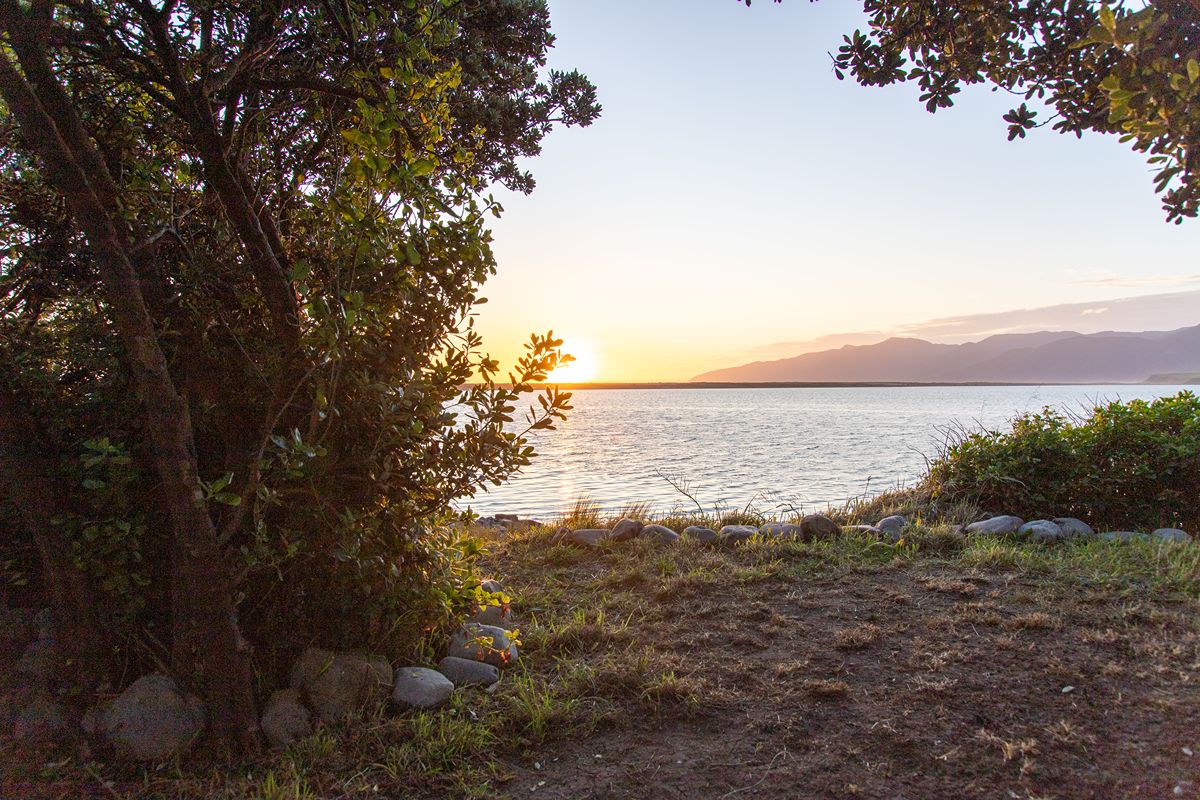 Lake Ferry Holiday Park