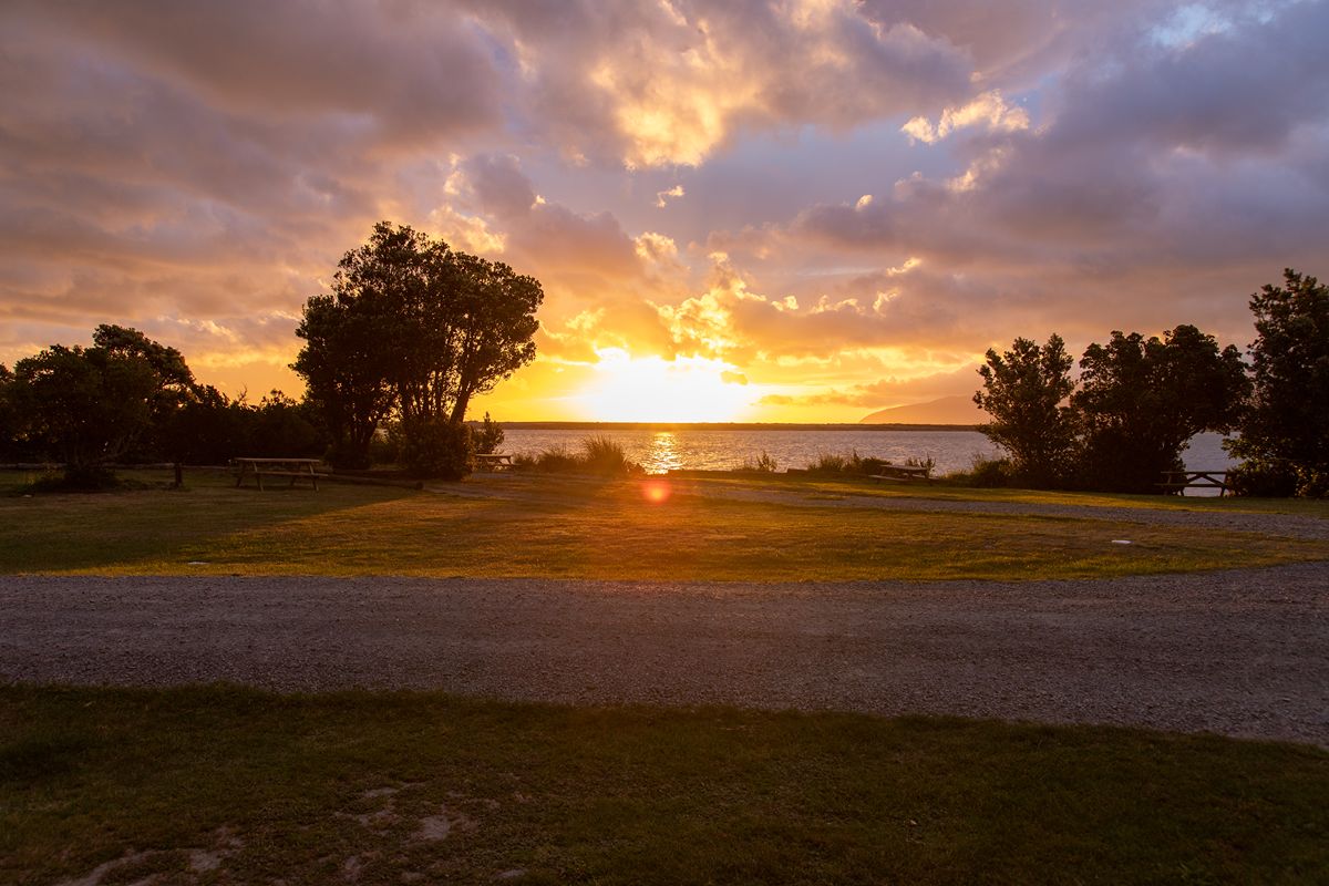 Lake Ferry Holiday Park