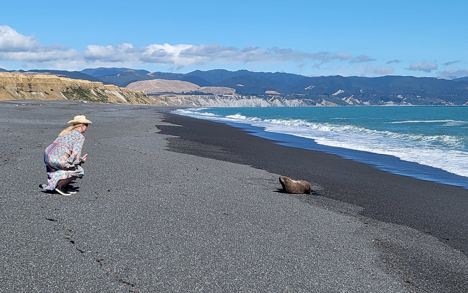 Lake Ferry Holiday Park