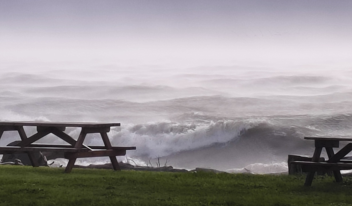 Lake Ferry Holiday Park