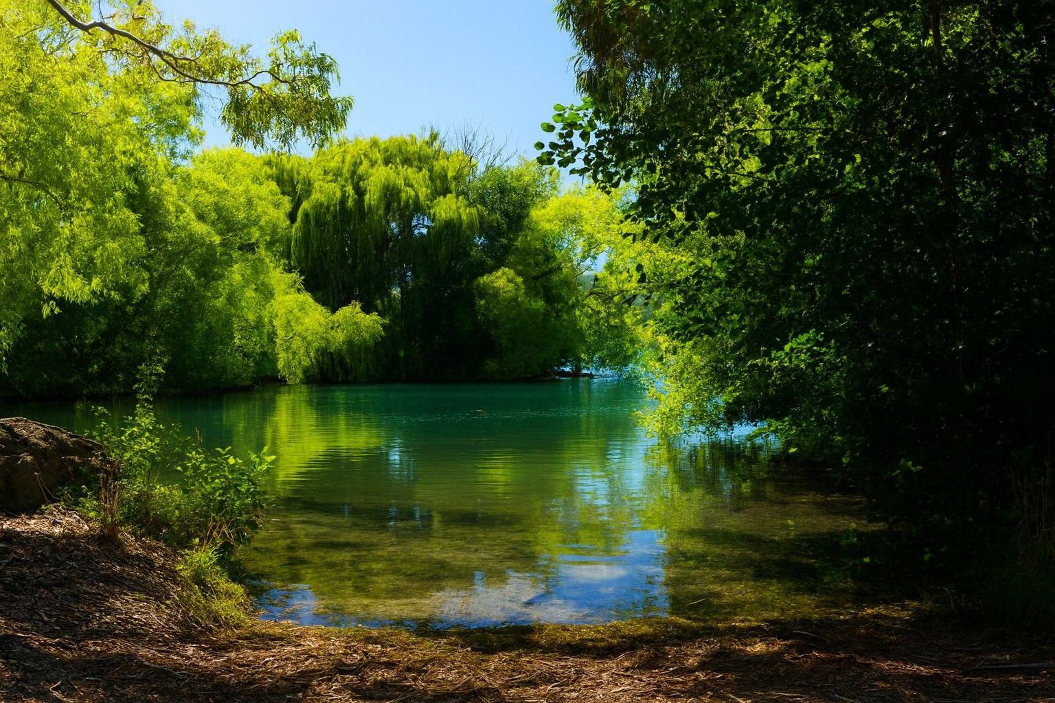 Waitangi Reserve Campground