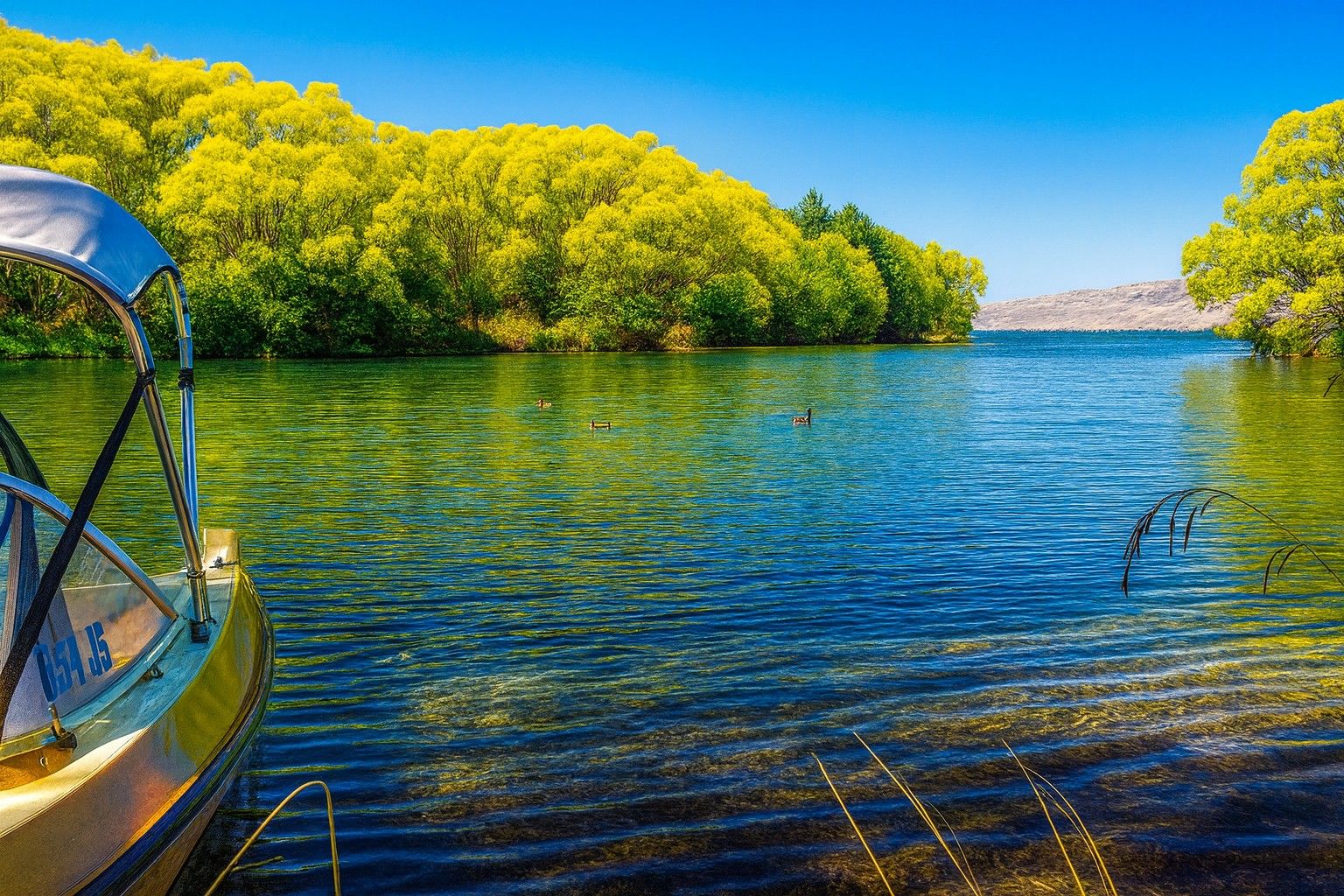 Waitangi Reserve Campground