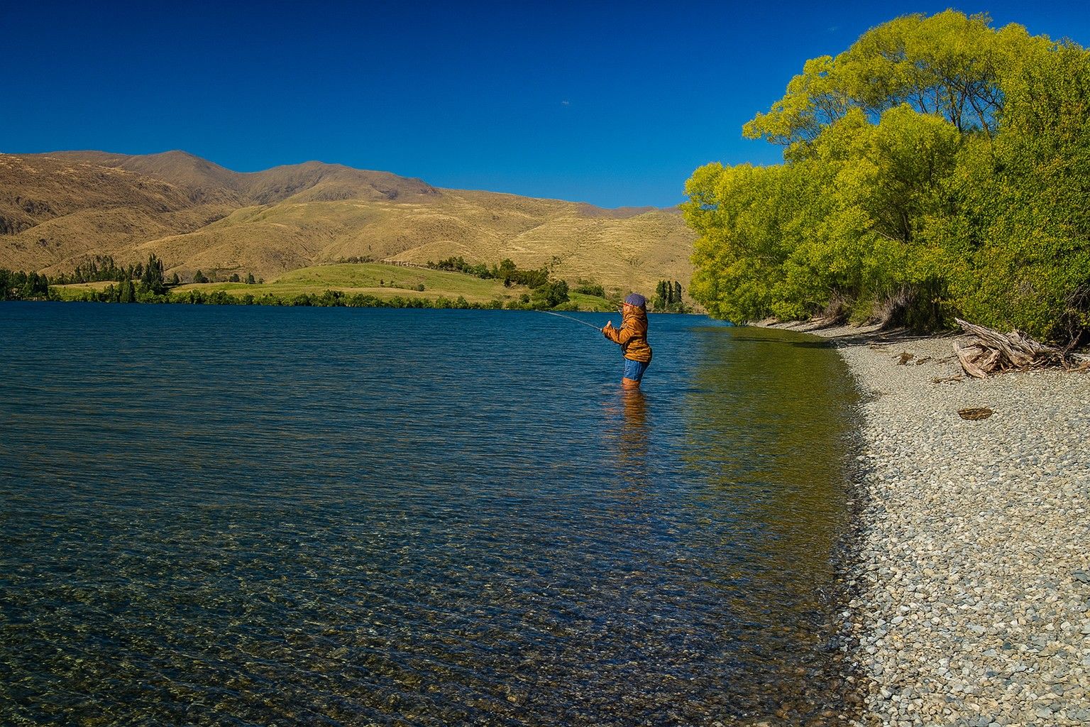 Waitangi Reserve Campground