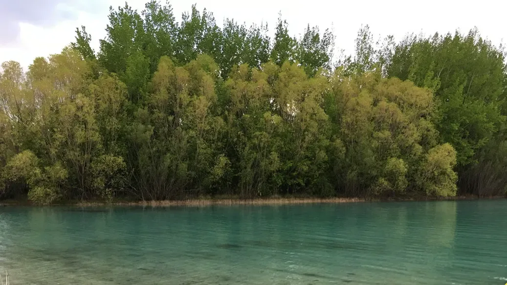 Lake Ruatanihwa Freedom Camp Ground