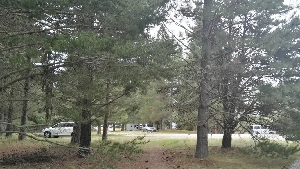 Lake Wardell Freedom Camp Ground