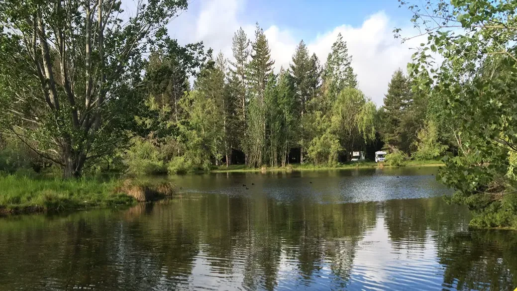 Lake Wardell Freedom Camp Ground
