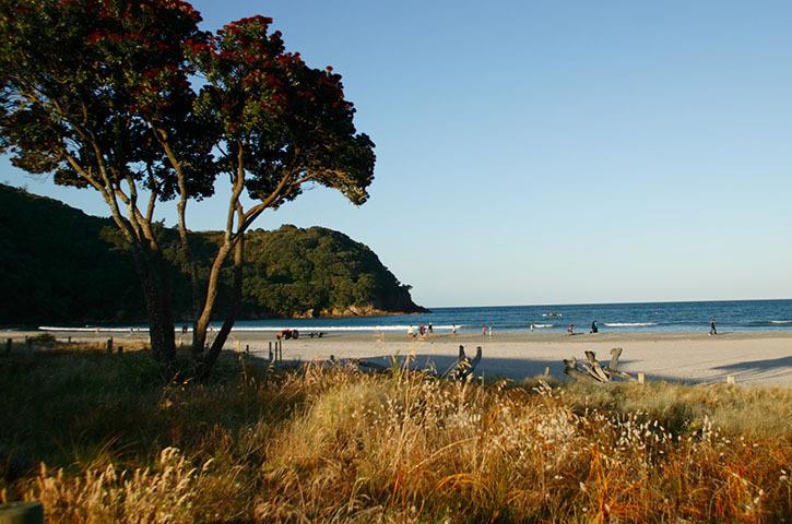 Waihi Beach - Bowentown KiwiCamp